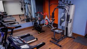 Majoituspaikan Aranjuez Hotel & Suites kuntosali tai liikuntatilat