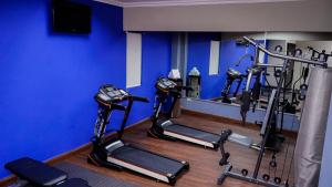 Majoituspaikan Aranjuez Hotel & Suites kuntosali tai liikuntatilat