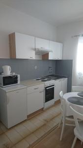 Kuchyň nebo kuchyňský kout v ubytování Guest house Ivanka