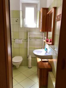 ブロウモフにあるUbytování Janinaの小さなバスルーム(トイレ、シンク付)