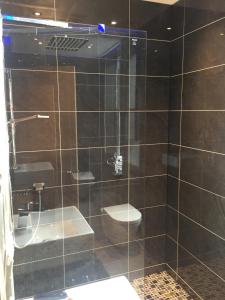 a bathroom with a glass shower with a toilet at Halvard Hotel in Douglas
