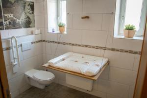 un bagno bianco con un water e un lavandino di Gasthof zum Ochsen a Waldstetten