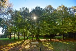 Gallery image of Los Vagones de Areco in San Antonio de Areco +52 photos