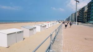 una fila di scatole bianche su una spiaggia di Zeedijk 241 a Koksijde