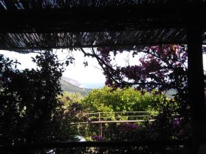 a view from a window of a garden with flowers at Casa de rosa in Palinuro