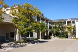 un gran edificio con un árbol delante en Hotel Buena Vista - San Luis Obispo, en San Luis Obispo