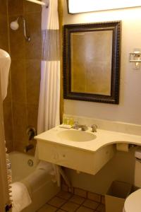 a bathroom with a sink and a shower and a mirror at Hotel Buena Vista - San Luis Obispo in San Luis Obispo