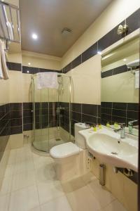 uma casa de banho com um WC, um lavatório e um chuveiro em Diplomat Hotel Baku em Baku