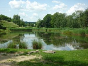 een vijver in een veld met gras en bomen bij L'Orée du Parc à Belfort in Belfort