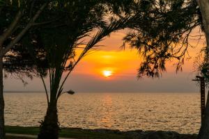a sunset over the ocean with a palm tree at Elya Beach Luxury Suites in Ayios Theodhoros