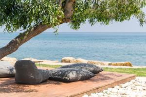 two bean bags sitting under a tree next to the water at Elya Beach Luxury Suites in Ayios Theodhoros