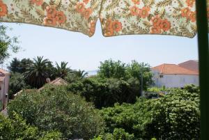 Fotografie z fotogalerie ubytování Apartment MPPM v destinaci Orebić