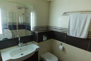ヤストシェンビャ・グラにあるApartament Bursztynowyのバスルーム(洗面台、トイレ、鏡付)
