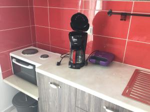 Kuchyň nebo kuchyňský kout v ubytování City Apartment