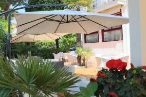 A garden outside Hotel Manuela