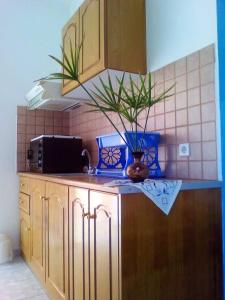 una cocina con una encimera con un jarrón. en Maria Gerokonstanti Studios, en Elliniká 13 fotos más