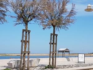 two trees in the middle of a beach at Dormir sur la Plage in Marennes