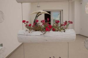 Fotografie z fotogalerie ubytování Nidi di Feo v destinaci Lecce