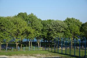 a group of trees in a park with a fence at Apartament ALBATROS in Mangalia +5 photos