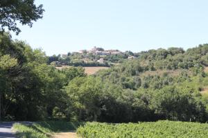 a village on a hill with trees and a road at Dans un écrin de Nature in Montclar