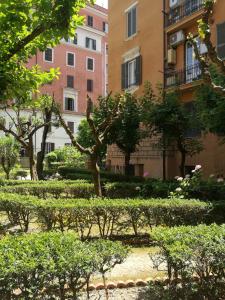 Zahrada ubytování Palma Residences In Rome