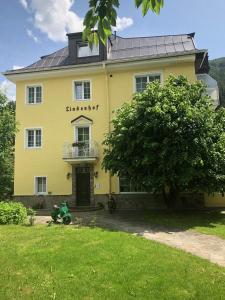 Zahrada ubytování Hotel Lindenhof