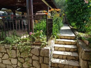 Vonkajšia záhrada v ubytovaní Apartments Vila Tisa