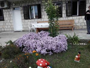 Apartment Dragone外面的花园