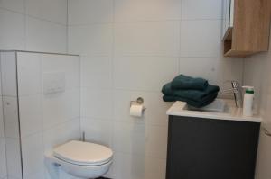 a bathroom with a toilet and a sink at Central-Day Inn in Enschede