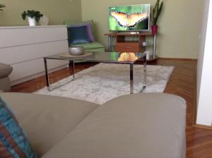 TV a/nebo společenská místnost v ubytování Apartments Leut