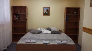 ein Schlafzimmer mit einem großen Bett in einem Zimmer in der Unterkunft Pál utcai Apartman Miskolc in Miskolc