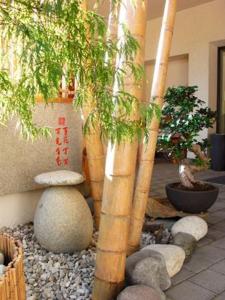 a group of bamboo trees and rocks in a garden at Garni Cremona in Bressanone