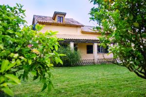 a house seen through the trees at Jasmine House in Tsilivi