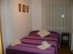 Cette chambre comprend un lit violet avec 2 oreillers. dans l'établissement Apartamentos Pirineos Ordesa II, à Aínsa