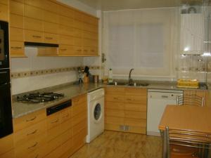 a kitchen with a stove top oven next to a dishwasher at Apartamentos Pirineos Ordesa II in Aínsa