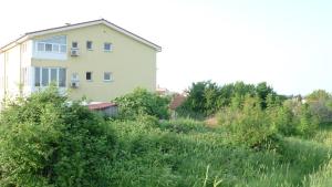 Zahrada ubytování Apartment Studio A2_Medulin