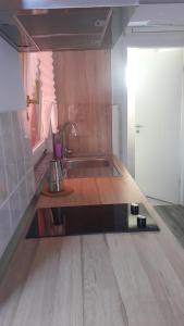 eine Küche mit einer Spüle und einer Arbeitsplatte in der Unterkunft Apartmans Nadin in Umag