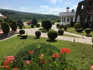 a garden with bushes and flowers in front of a building at Motel Sora in Sovata