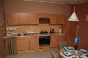 Kuchyň nebo kuchyňský kout v ubytování Studio apartman T&I