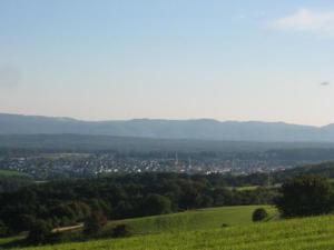 une colline verdoyante avec une ville au loin dans l'établissement Panorama Gasthof Stemler, à Eulenbis