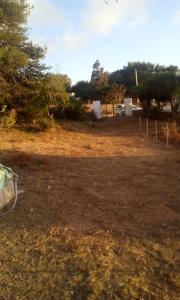 een uitzicht op een veld met bomen op de achtergrond bij Faraglioni house in Favignana