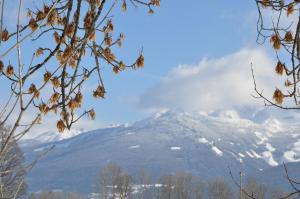 Vista generica sulle montagne o vista sulle montagne dall'interno della stanza in casa privata