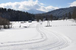 Gästehaus ERLE durante l'inverno
