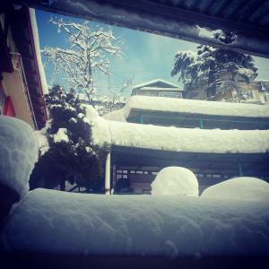 YMCA Tourist Hostel Shimla v zimě