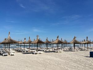 a beach with chairs and straw umbrellas and the ocean at Bluewaves Apartment Mamaia Nord in Mamaia Nord