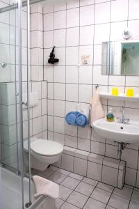 uma casa de banho com um WC, um lavatório e um chuveiro em Pension bei Schinderhannes und Julchen em Boppard