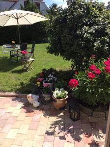 Zahrada ubytování Dadas Bed & Breakfast