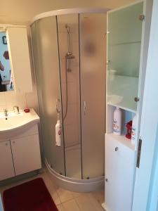 a shower with a glass door in a bathroom at Apartment Ane in Bale