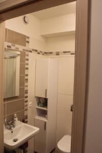 a bathroom with a sink and a toilet and a mirror at Big Apartment 291 - Rezidence Eliska Prague 9 in Prague