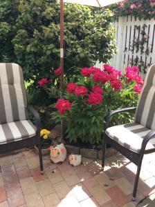 Zahrada ubytování Dadas Bed & Breakfast